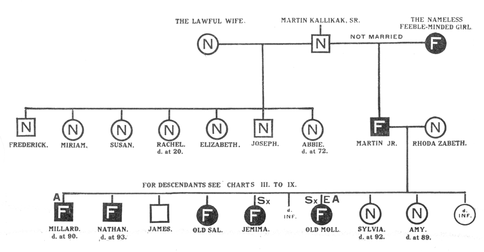 Genetics Chart Name